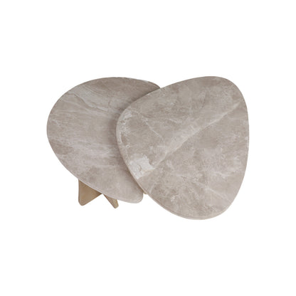S/2 20/40" CORVUS MARBLE AND WOOD COFFEE TABLE - S